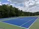 Outdoor blue tennis court surrounded by lush green trees at 624 Kimberwick Dr, Locust Grove, GA 30248