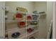 Walk-in pantry featuring ample shelving for optimal storage at 168 Maple Grove Ter, Peachtree City, GA 30269