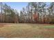 Large backyard featuring a playset and mature trees, perfect for outdoor activities at 1144 Pickets Ridge Dr, Locust Grove, GA 30248