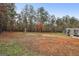 Expansive backyard includes a shed, play set, and wooded area, offering ample space at 1144 Pickets Ridge Dr, Locust Grove, GA 30248