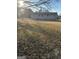 Large backyard with mature trees and plenty of space for outdoor activities at 30 Lemon Pl, Mcdonough, GA 30253
