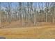 The backyard of the property, featuring dry grass and a dense wooded area at 6025 Old Timber Trl # 11, Douglasville, GA 30135