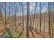Beautiful wooded backyard featuring a lake view, playset, and dock, perfect for outdoor enjoyment at 562 Adams Rd, Fayetteville, GA 30214