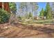 View of the natural backyard landscape featuring a lush lawn at 562 Adams Rd, Fayetteville, GA 30214