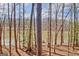 Serene lake view framed by trees, showcasing the property's waterfront location at 562 Adams Rd, Fayetteville, GA 30214
