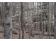 Backyard with mature trees at 337 Lakeshore Dr, Berkeley Lake, GA 30096