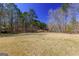A spacious backyard with a field of grass, surrounded by trees and greenery, offers ample space at 140 Surrey Park Dr, Fayetteville, GA 30215