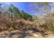 A scenic pond surrounded by lush trees and vegetation provides a tranquil escape at 140 Surrey Park Dr, Fayetteville, GA 30215