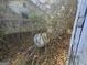 Propane tanks in an overgrown yard at 4284 Highway 81 S, Covington, GA 30016