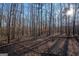 Backyard view of a wooded area with tall trees and a thick layer of dried leaves at 9209 W Banks Mill Rd, Winston, GA 30187