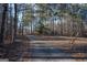View of a long, paved driveway through a forest of mature trees at 9209 W Banks Mill Rd, Winston, GA 30187