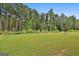 Expansive green backyard with mature trees, offering privacy and space for outdoor activities at 208 Cottonwood Cir, Peachtree City, GA 30269
