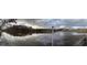 Panoramic view of the serene lake and surrounding wooded area, reflecting the overcast sky at 275 Old Mill Ct, Fayetteville, GA 30214