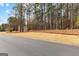 View of home from street, tall trees surround property at 115 Wellborn Chase, Fayetteville, GA 30215