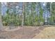 Serene backyard featuring a bench surrounded by lush greenery and peaceful landscaping at 804 Carnellian Ln, Peachtree City, GA 30269