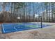 Full basketball court and volleyball net, surrounded by tall trees at 302 Cumberland Ct, Peachtree City, GA 30269