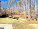 A sloped backyard features trees and greenery, creating a serene natural setting at 304 Chestatee Ct, Woodstock, GA 30188