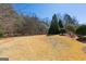 A grassy backyard provides a private space surrounded by tall trees and manicured shrubs at 300 Annelise Park Dr, Fayetteville, GA 30214