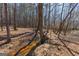 Picturesque backyard with a small stream, surrounded by mature trees and natural vegetation at 300 Annelise Park Dr, Fayetteville, GA 30214
