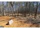Expansive wooded backyard featuring mature trees and natural beauty at 300 Annelise Park Dr, Fayetteville, GA 30214