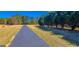 Long paved driveway leading to the property, surrounded by mature trees and landscaping at 300 Annelise Park Dr, Fayetteville, GA 30214