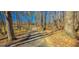 Scenic walking path through the woods surrounding the property at 300 Annelise Park Dr, Fayetteville, GA 30214