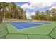 Exterior shot of community tennis courts with blue playing surface and green border, set among trees at 1041 Claas Way, Locust Grove, GA 30248