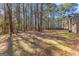 Spacious backyard with mature trees, providing ample shade and privacy for outdoor enjoyment at 135 Weeping Willow Way, Tyrone, GA 30290