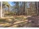 Extensive backyard featuring mature trees, offering a serene and natural setting for relaxation at 135 Weeping Willow Way, Tyrone, GA 30290