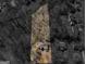 Aerial view of the home and property, showcasing the surrounding trees at 150 Grove Creek Dr, Locust Grove, GA 30248