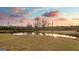 View of the pond, trees, and property at 10 Last St, Moreland, GA 30259