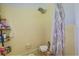 Bathroom with shower and patterned curtain at 677 Gum Creek Rd, Oxford, GA 30054