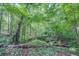 Lush wooded area with mature trees offers a private and serene natural setting at 677 Gum Creek Rd, Oxford, GA 30054