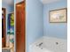 Bright bathroom featuring a soaking tub, blue walls and a stylish mirror at 2643 Rocky Creek Rd, Hampton, GA 30228