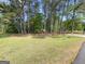A green lawn with scattered trees and a fire hydrant create a pleasant landscape at 848 Still Rd, Lawrenceville, GA 30045