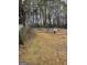A large and private backyard featuring a wooden fence at 5865 Vernier Dr, Atlanta, GA 30349