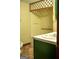 Bathroom with a shower, toilet, tile floors, and a sink in a green vanity at 123 Cowan Rd, Covington, GA 30016