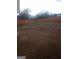 Large backyard with a privacy fence and ample space for outdoor activities at 6160 Great Oaks Dr, Lithonia, GA 30058