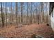 Backyard with bare trees and lots of leaves on the ground at 1436 Heritage Court Ct, Villa Rica, GA 30180