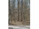 Street view showing trees, shrubs, foliage, and plants at 1436 Heritage Court Ct, Villa Rica, GA 30180