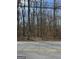 Street view featuring trees, shrubs, and foliage at 1436 Heritage Court Ct, Villa Rica, GA 30180
