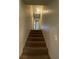 Carpeted stairway leading to the upper level, offering a seamless transition between floors at 6861 Wendy Jean Dr, Morrow, GA 30260