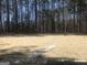 A grass covered backyard is surrounded by a mature tree line and features a stone walkway at 85 Crabapple Ridge Dr, Oxford, GA 30054