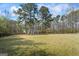 A nice house with a well-manicured lawn, framed by tall, majestic trees at 850 Coan Dr, Locust Grove, GA 30248