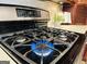 A close-up of a gas stove with stainless steel trim and a black enamel top at 345 Gaelic Way, Tyrone, GA 30290