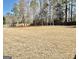 Spacious backyard offers plenty of room for outdoor activities, great for entertaining and enjoying the outdoors at 108 Caraway Rd, Locust Grove, GA 30248