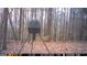 Daytime photo taken from a game camera, showing deer near a feeder in the woods at 180 Collins Way, Locust Grove, GA 30248