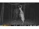 Nighttime photo taken from a game camera, showing deer near a feeder in the woods at 180 Collins Way, Locust Grove, GA 30248