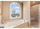 Close up on bathroom soaking tub with jets and a large window overlooking the property at 1198 Elliot Rd, Mcdonough, GA 30252