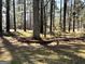 Backyard with mature trees, brick accents and room for recreation at 230 White Rd, Fayetteville, GA 30214